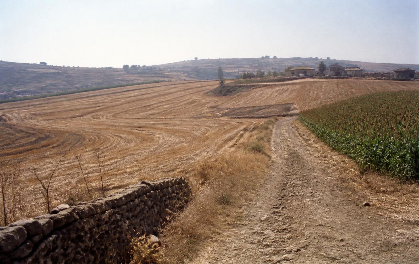 Agricoltura — La materia prima comincia nella terra